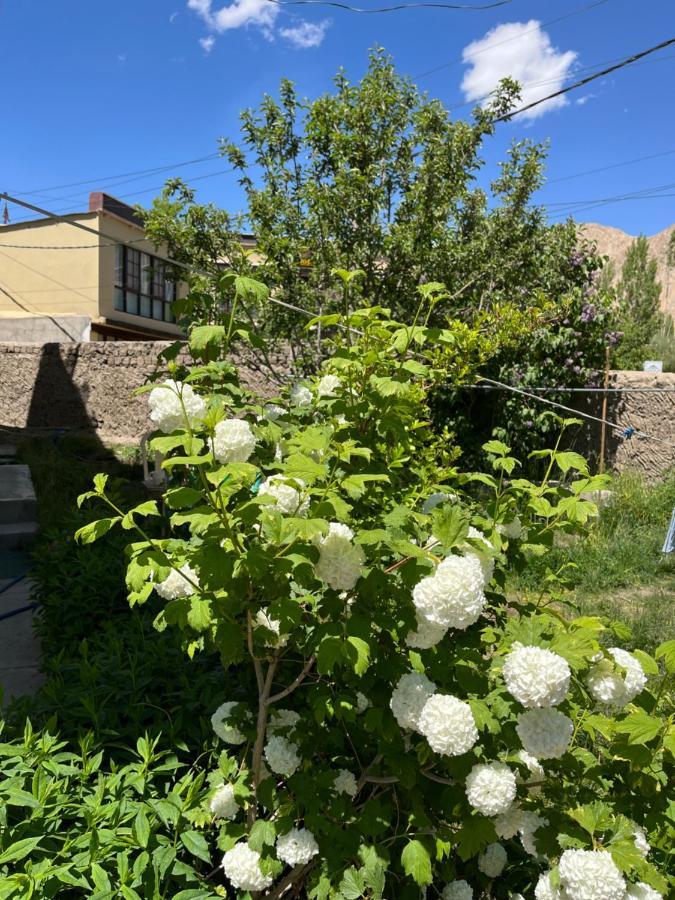 Chakzot Garden House Hotell Leh Eksteriør bilde