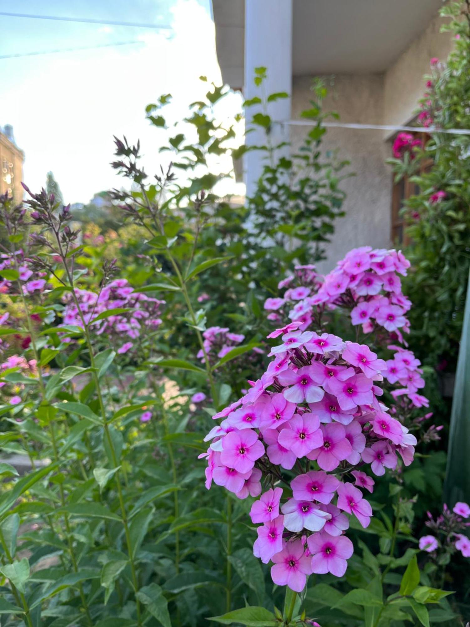 Chakzot Garden House Hotell Leh Eksteriør bilde
