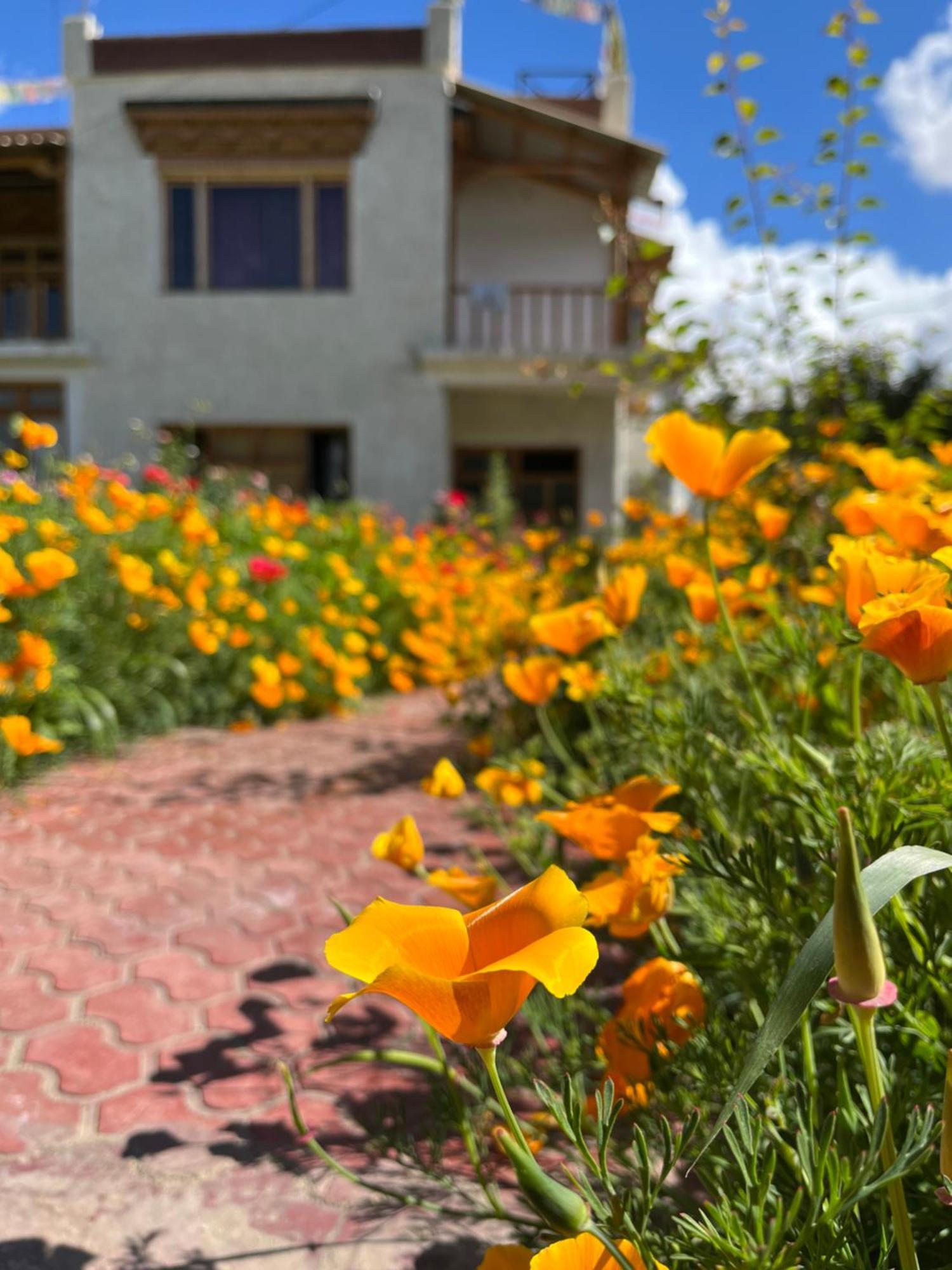 Chakzot Garden House Hotell Leh Eksteriør bilde